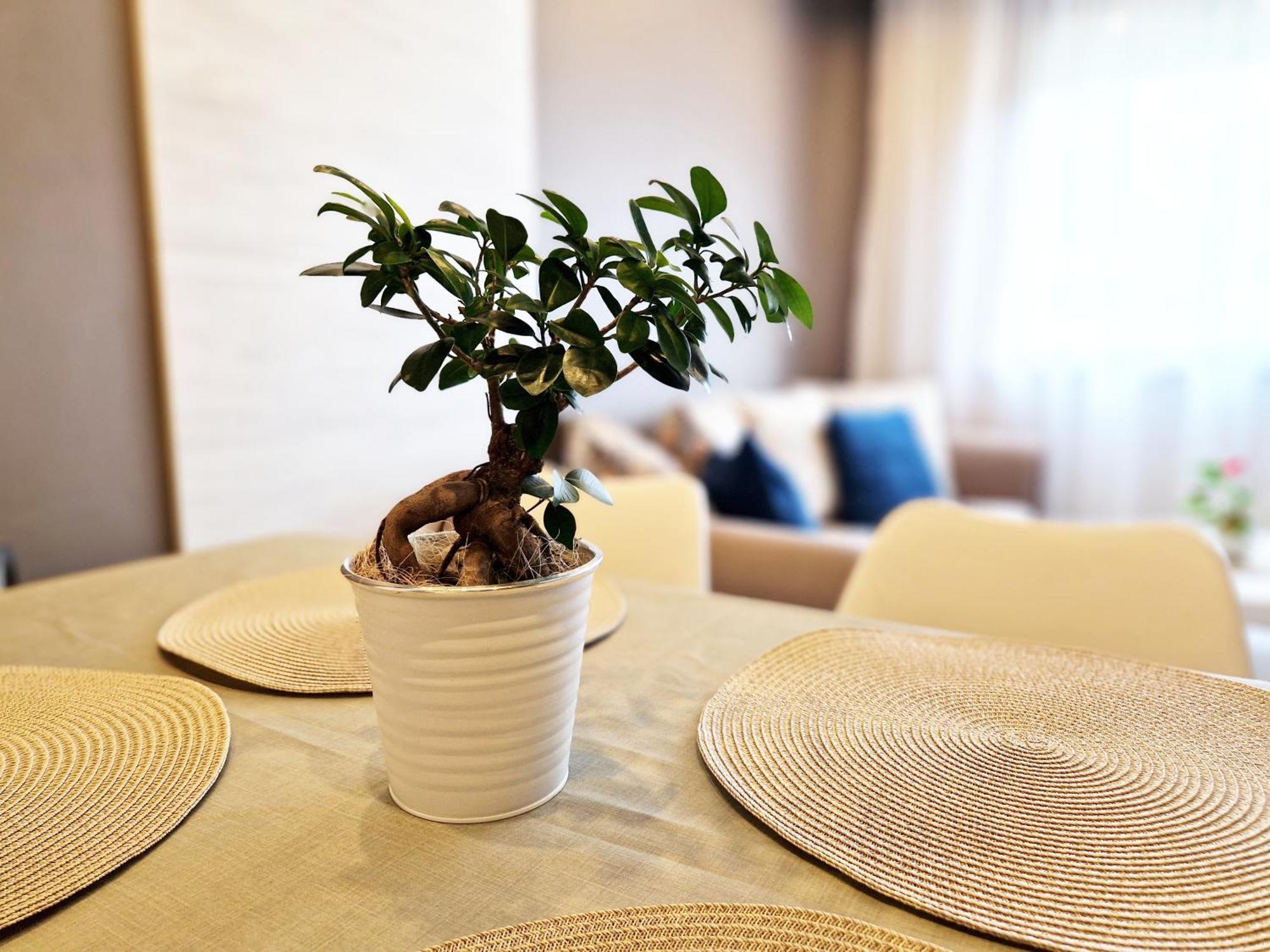 Central Apartment - Spacious Designer Property In Stara Zagora Esterno foto